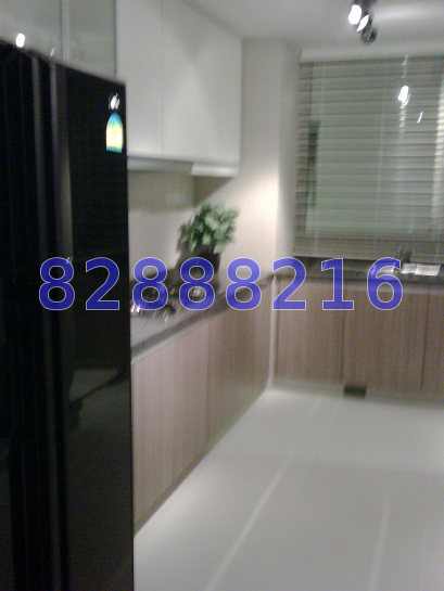 The Metropolitan Condominium (D3), Condominium #15413492